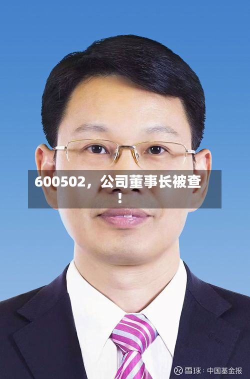 600502，公司董事长被查！-第3张图片