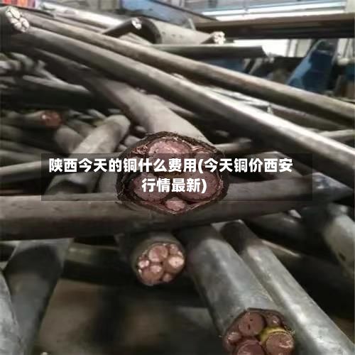 陕西今天的铜什么费用(今天铜价西安行情最新)-第2张图片