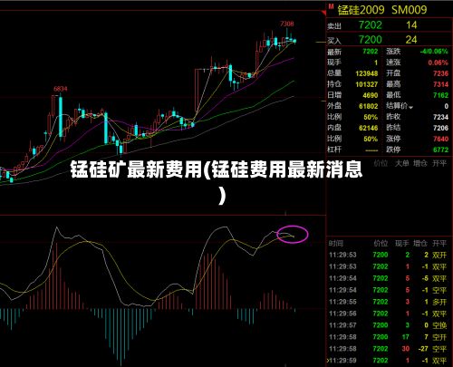 锰硅矿最新费用(锰硅费用最新消息)-第3张图片