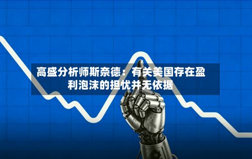 高盛分析师斯奈德:有关美国存在盈利泡沫的担忧并无依据-第3张图片