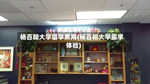 杨百翰大学留学费用(杨百翰大学留学体验)