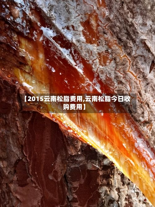 【2015云南松脂费用,云南松脂今日收购费用】-第3张图片
