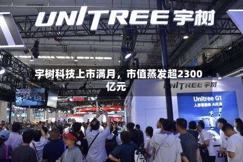 宇树科技上市满月，市值蒸发超2300亿元