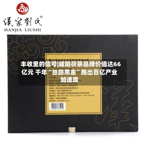 丰收里的信号|咸阳茯茶品牌价值达66亿元 千年“丝路黑金”跑出百亿产业加速度-第3张图片