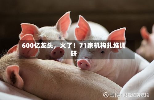 600亿龙头，火了！71家机构扎堆调研-第2张图片