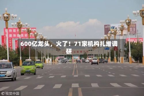 600亿龙头，火了！71家机构扎堆调研
