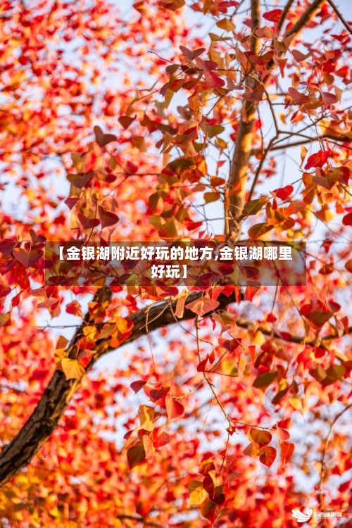 【金银湖附近好玩的地方,金银湖哪里好玩】-第2张图片