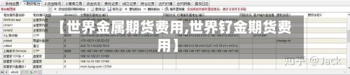 【世界金属期货费用,世界钌金期货费用】