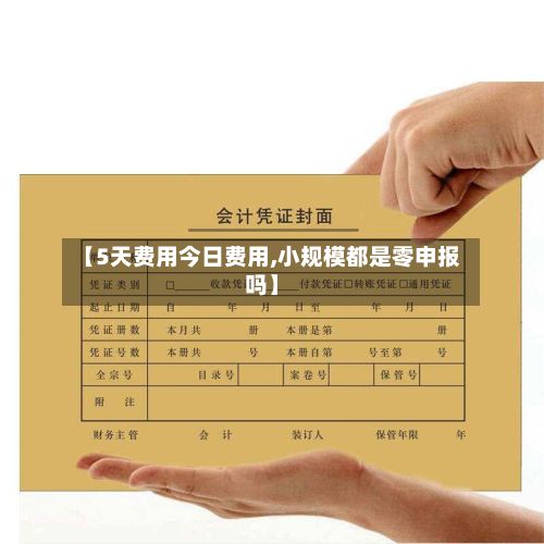 【5天费用今日费用,小规模都是零申报吗】-第2张图片
