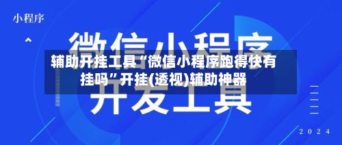 辅助开挂工具“微信小程序跑得快有挂吗”开挂(透视)辅助神器-第2张图片