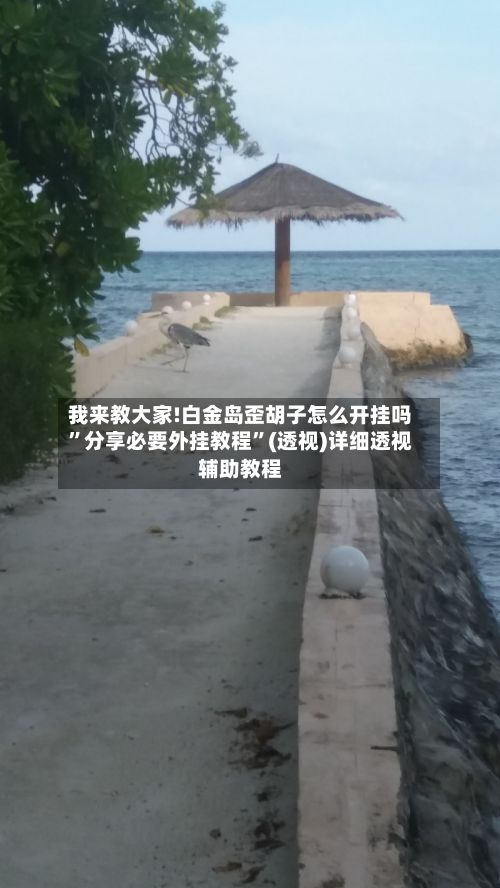我来教大家!白金岛歪胡子怎么开挂吗”分享必要外挂教程	”(透视)详细透视辅助教程-第3张图片