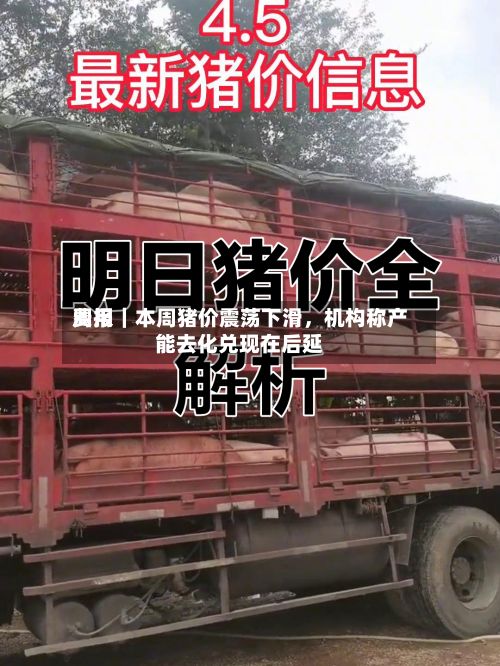 费用周报｜本周猪价震荡下滑，机构称产能去化兑现在后延