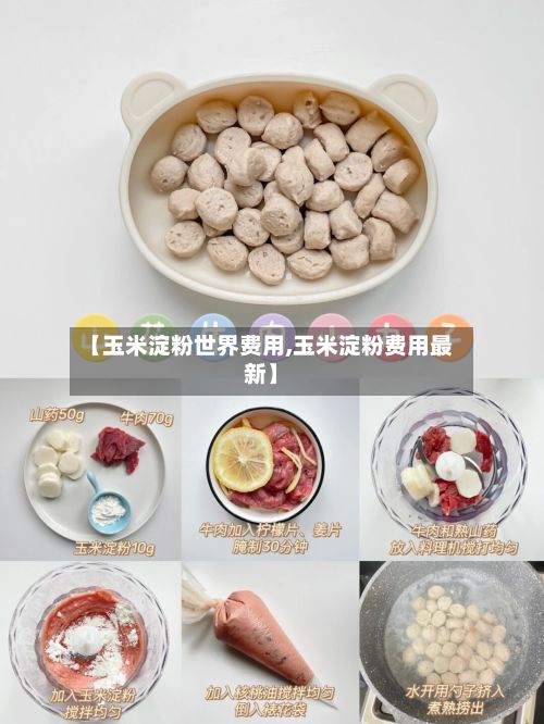【玉米淀粉世界费用,玉米淀粉费用最新】-第3张图片