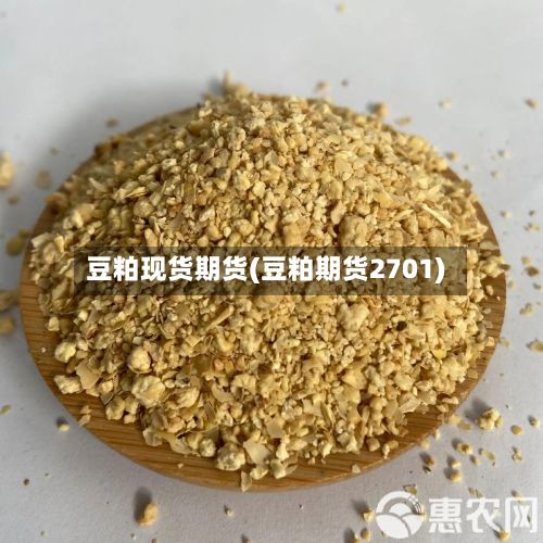 豆粕现货期货(豆粕期货2701)