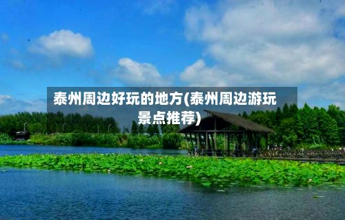 泰州周边好玩的地方(泰州周边游玩景点推荐)-第2张图片
