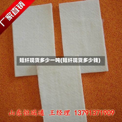 短纤现货多少一吨(短纤现货多少钱)-第2张图片