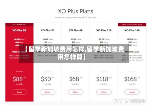 【留学新加坡费用怎样,留学新加坡费用怎样算】