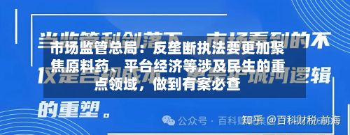 市场监管总局：反垄断执法要更加聚焦原料药、平台经济等涉及民生的重点领域，做到有案必查-第3张图片
