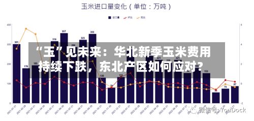 “玉”见未来：华北新季玉米费用持续下跌	，东北产区如何应对？-第1张图片