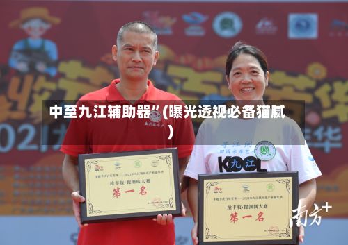 中至九江辅助器”(曝光透视必备猫腻)