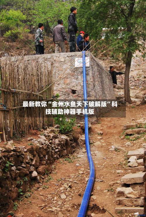 最新教你“金州水鱼天下破解版”科技辅助神器手机版