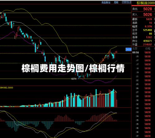 棕榈费用走势图/棕榈行情-第2张图片