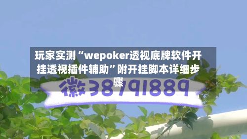 玩家实测“wepoker透视底牌软件开挂透视插件辅助	”附开挂脚本详细步骤-第2张图片