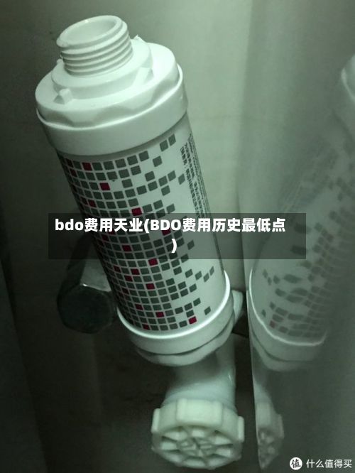 bdo费用天业(BDO费用历史最低点)-第2张图片