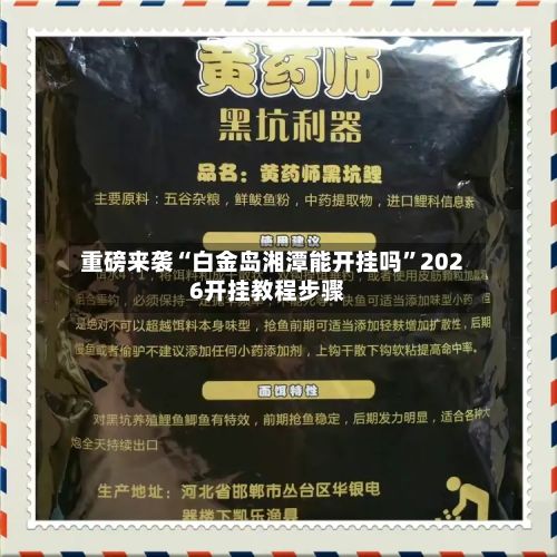 重磅来袭“白金岛湘潭能开挂吗”2026开挂教程步骤-第3张图片