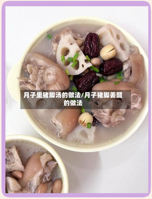 月子里猪脚汤的做法/月子猪脚姜醋的做法