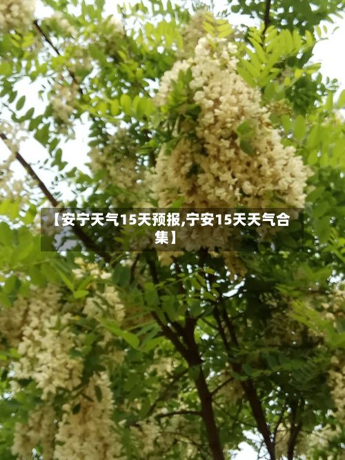 【安宁天气15天预报,宁安15天天气合集】-第2张图片