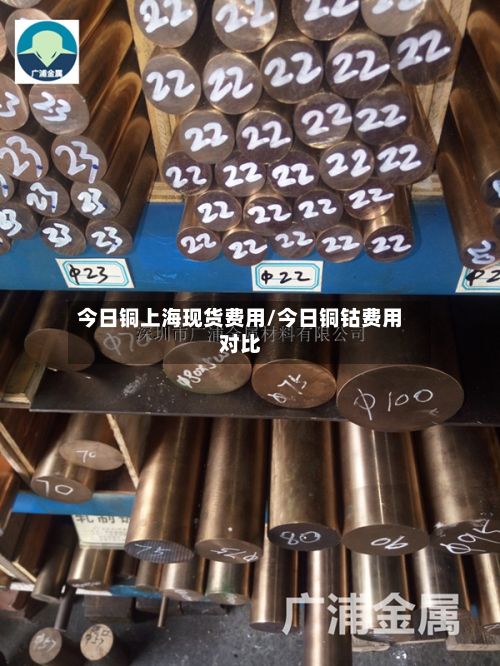 今日铜上海现货费用/今日铜钴费用对比-第3张图片
