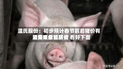 温氏股份：初步预计春节前后猪价有望迎来盘整拐点 看好下面消费旺季的鸡价