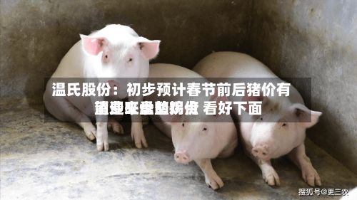 温氏股份:初步预计春节前后猪价有望迎来盘整拐点 看好下面
消费旺季的鸡价-第2张图片