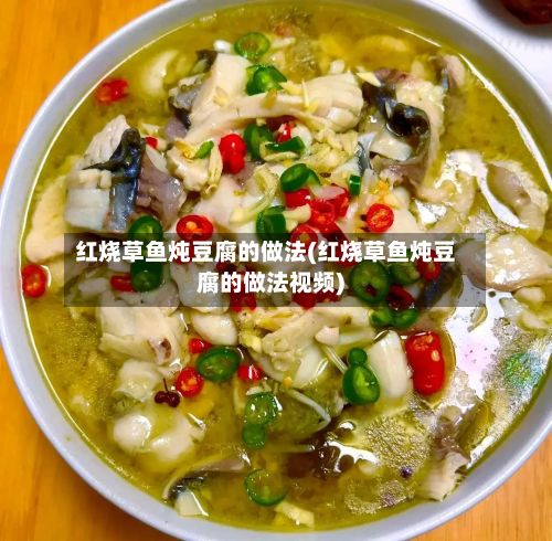 红烧草鱼炖豆腐的做法(红烧草鱼炖豆腐的做法视频)
