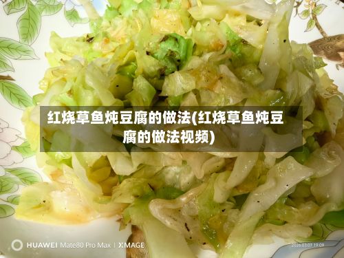 红烧草鱼炖豆腐的做法(红烧草鱼炖豆腐的做法视频)-第2张图片