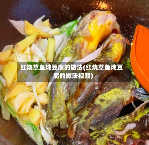 红烧草鱼炖豆腐的做法(红烧草鱼炖豆腐的做法视频)-第3张图片