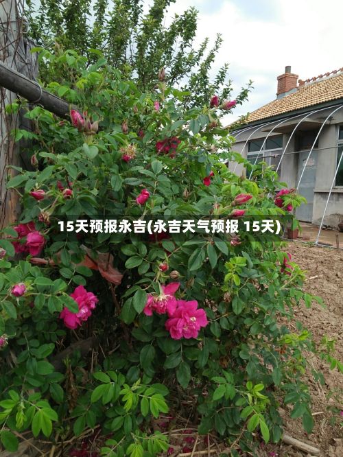 15天预报永吉(永吉天气预报 15天)