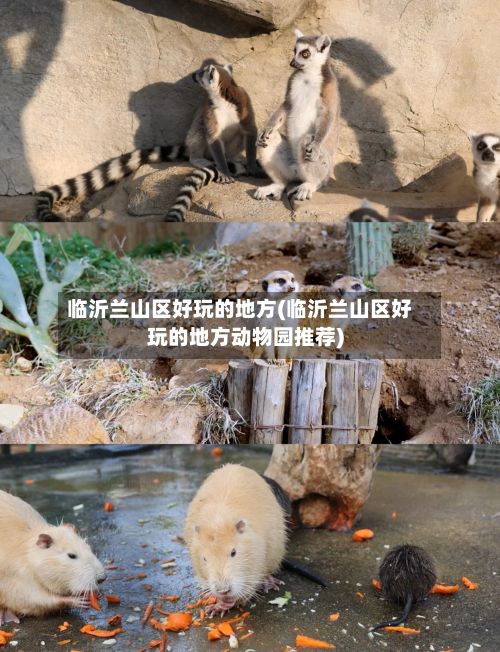 临沂兰山区好玩的地方(临沂兰山区好玩的地方动物园推荐)-第2张图片