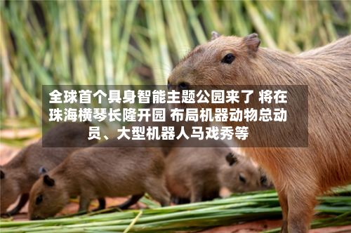 全球首个具身智能主题公园来了 将在珠海横琴长隆开园 布局机器动物总动员、大型机器人马戏秀等-第2张图片