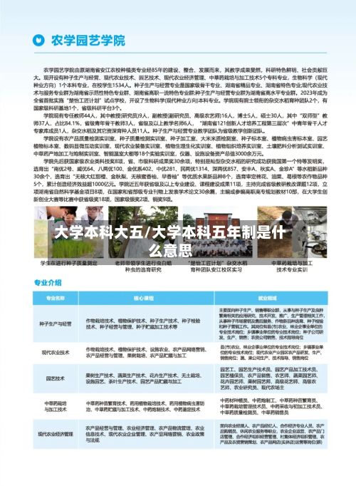 大学本科大五/大学本科五年制是什么意思-第2张图片
