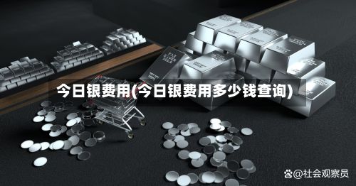 今日银费用(今日银费用多少钱查询)-第2张图片