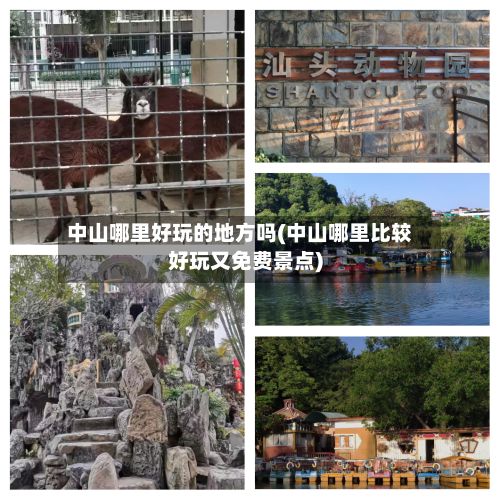 中山哪里好玩的地方吗(中山哪里比较好玩又免费景点)