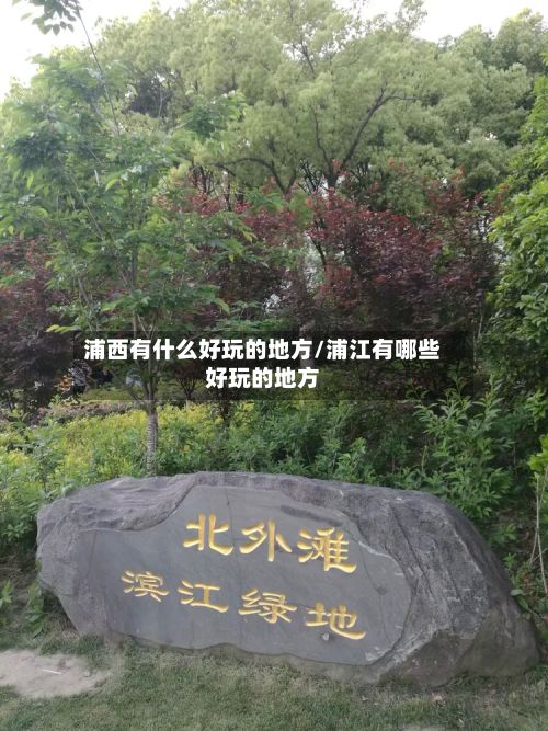 浦西有什么好玩的地方/浦江有哪些好玩的地方