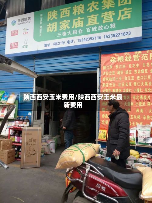 陕西西安玉米费用/陕西西安玉米最新费用-第2张图片