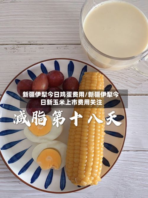 新疆伊犁今日鸡蛋费用/新疆伊犁今日新玉米上市费用关注-第2张图片