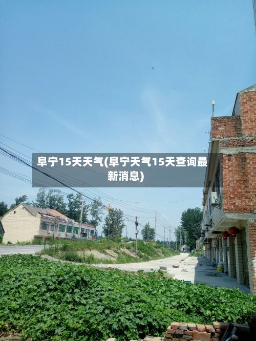 阜宁15天天气(阜宁天气15天查询最新消息)-第2张图片