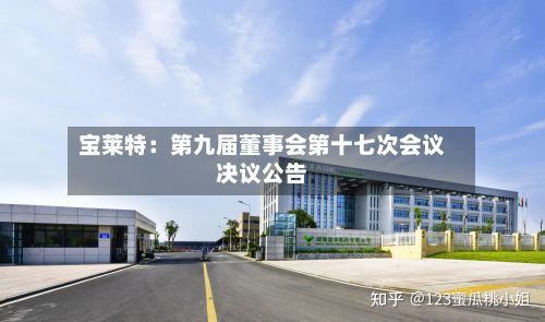 宝莱特：第九届董事会第十七次会议决议公告-第1张图片