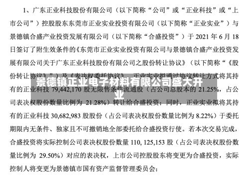 景德镇正业电子材料有限公司盛大开业
