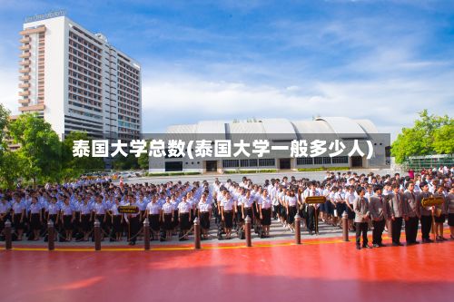 泰国大学总数(泰国大学一般多少人)